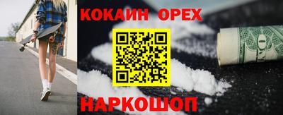 гидра Гай