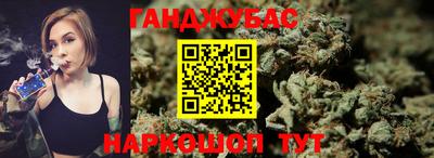 гидра Гай