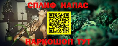 гидра Гай