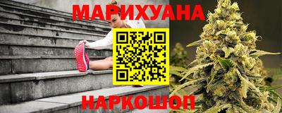 гидра Гай
