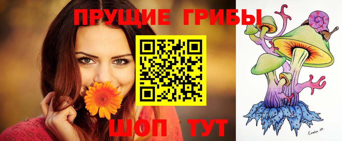 Можайск  Псилоцибиновые грибы Psilocybine cubensis  Вход с VPN 